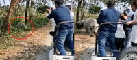 ఖడ్గ మృగాన్ని గెలికితే ఇలాగే ఉంటుంది.. వ్యాన్ బోల్తా?